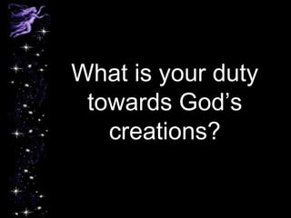 What is your duty
towards God’s
creations?