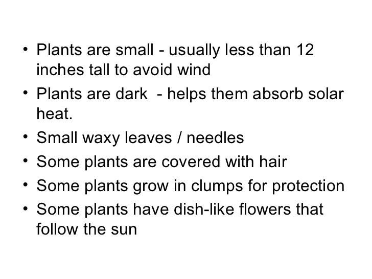 Lesson 2 gcse cold adaptations