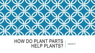 HOW DO PLANT PARTS
HELP PLANTS?
Lesson 2
 