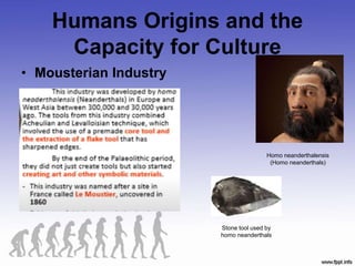 Humans Origins and the
Capacity for Culture
• Mousterian Industry
Homo neanderthalensis
(Homo neanderthals)
Stone tool used by
homo neanderthals
 