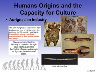 Humans Origins and the
Capacity for Culture
• Aurignacian Industry
Hohle fells bone flute
 