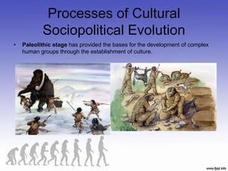 Processes of Cultural
Sociopolitical Evolution
• Paleolithic stage has provided the bases for the development of complex
human groups through the establishment of culture.
 