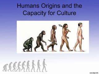 Humans Origins and the
Capacity for Culture
 