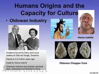 Humans Origins and the
Capacity for Culture
• Oldowan Industry
Oldowan Chopper Core
Homo habilis
 