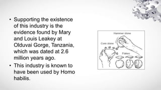 • Supporting the existence
of this industry is the
evidence found by Mary
and Louis Leakey at
Olduvai Gorge, Tanzania,
which was dated at 2.6
million years ago.
• This industry is known to
have been used by Homo
habilis.
 