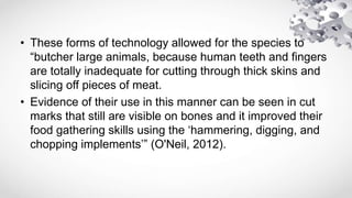 • These forms of technology allowed for the species to
“butcher large animals, because human teeth and fingers
are totally inadequate for cutting through thick skins and
slicing off pieces of meat.
• Evidence of their use in this manner can be seen in cut
marks that still are visible on bones and it improved their
food gathering skills using the ‘hammering, digging, and
chopping implements’” (O'Neil, 2012).
 