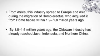• From Africa, this industry spread to Europe and Asia
during the migration of Homo erectus, who acquired it
from Homo habilis within 1.9– 1.8 million years ago.
• By 1.8–1.6 million years ago, the Oldowan industry has
already reached Java, Indonesia, and Northern China.
 