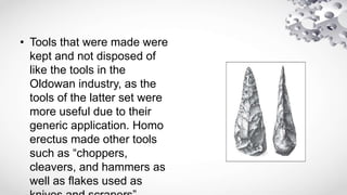 • Tools that were made were
kept and not disposed of
like the tools in the
Oldowan industry, as the
tools of the latter set were
more useful due to their
generic application. Homo
erectus made other tools
such as “choppers,
cleavers, and hammers as
well as flakes used as
 