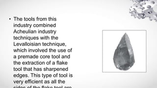 • The tools from this
industry combined
Acheulian industry
techniques with the
Levalloisian technique,
which involved the use of
a premade core tool and
the extraction of a flake
tool that has sharpened
edges. This type of tool is
very efficient as all the
 