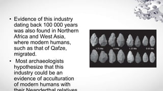 • Evidence of this industry
dating back 100 000 years
was also found in Northern
Africa and West Asia,
where modern humans,
such as that of Qafze,
migrated.
• Most archaeologists
hypothesize that this
industry could be an
evidence of acculturation
of modern humans with
 