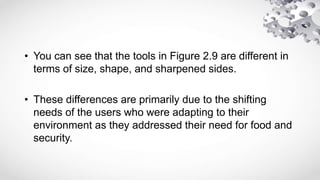• You can see that the tools in Figure 2.9 are different in
terms of size, shape, and sharpened sides.
• These differences are primarily due to the shifting
needs of the users who were adapting to their
environment as they addressed their need for food and
security.
 