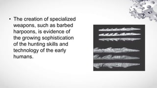 • The creation of specialized
weapons, such as barbed
harpoons, is evidence of
the growing sophistication
of the hunting skills and
technology of the early
humans.
 