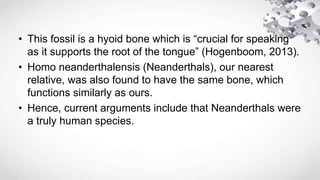 • This fossil is a hyoid bone which is “crucial for speaking
as it supports the root of the tongue” (Hogenboom, 2013).
• Homo neanderthalensis (Neanderthals), our nearest
relative, was also found to have the same bone, which
functions similarly as ours.
• Hence, current arguments include that Neanderthals were
a truly human species.
 