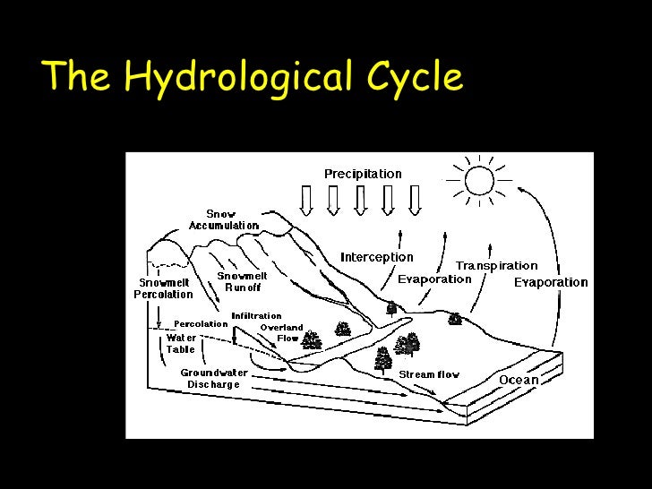 Lesson 2 hydrology