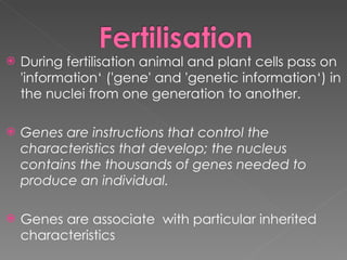 Lesson 2 Inheritance And Selection | PPT
