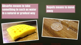 Lesson 2 materials that absorb water | PPT