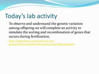 Today’s lab activity
 To observe and understand the genetic variation
 among offspring we will complete an activity to
 simulate the sorting and recombination of genes that
 occurs during fertilization.
 http://betterlesson.com/unit/1114/070-
 genetics?from=profile#/document/9018/offspringratios
 