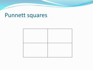 Punnett squares
 