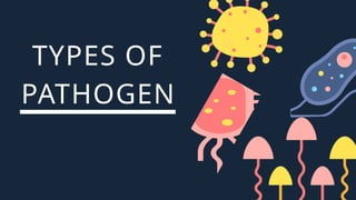 LESSON 2_MICROORGANISMS and their different types | PPTX