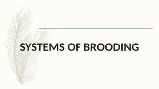 Brooding Systemsd CONDITIONS FOR SUCCESSFUL BROOING IN POULTRY RAISING | PPTX
