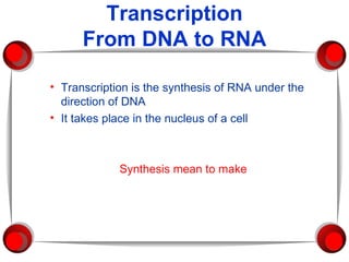 Transcription From DNA to RNA ,[object Object],[object Object],[object Object]