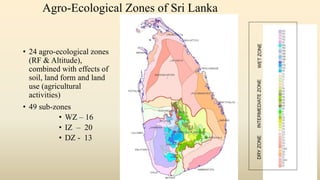Agro-Ecological Zones of Sri Lanka
• 24 agro-ecological zones
(RF & Altitude),
combined with effects of
soil, land form and land
use (agricultural
activities)
• 49 sub-zones
• WZ – 16
• IZ – 20
• DZ - 13
DRY
ZONE
INTERMEDIATE
ZONE
WET
ZONE
 