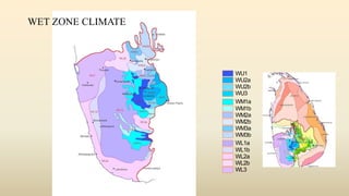 WL1a
WL1b
WL2a
WL2b
WL3
WM1a
WM1b
WM2a
WM2b
WM3a
WM3b
WU1
WU2a
WU2b
WU3
WET ZONE CLIMATE
 