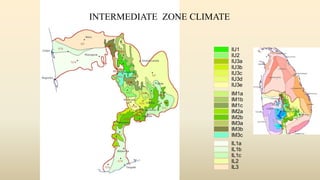 IL1a
IL1b
IL1c
IL2
IL3
IM1a
IM1b
IM1c
IM2a
IM2b
IM3a
IM3b
IM3c
IU1
IU2
IU3a
IU3b
IU3c
IU3d
IU3e
INTERMEDIATE ZONE CLIMATE
 
