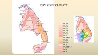 DL1a
DL1b
DL1c
DL1d
DL1e
DL1f
DL2&DL3
DL2a
DL2b
DL3
DL3&DL4
DL4
DL5
DRY ZONE CLIMATE
 