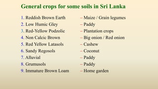 General crops for some soils in Sri Lanka
1. Reddish Brown Earth – Maize / Grain legumes
2. Low Humic Gley – Paddy
3. Red-Yellow Podzolic – Plantation crops
4. Non Calcic Brown – Big onion / Red onion
5. Red Yellow Latasols – Cashew
6. Sandy Regosols – Coconut
7. Alluvial – Paddy
8. Grumusols – Paddy
9. Immature Brown Loam – Home garden
 