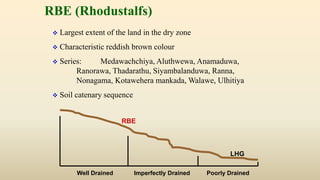 RBE (Rhodustalfs)
 Largest extent of the land in the dry zone
 Characteristic reddish brown colour
 Series: Medawachchiya, Aluthwewa, Anamaduwa,
Ranorawa, Thadarathu, Siyambalanduwa, Ranna,
Nonagama, Kotawehera mankada, Walawe, Ulhitiya
 Soil catenary sequence
Well Drained Imperfectly Drained Poorly Drained
RBE
LHG
 