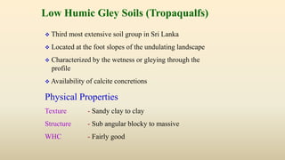 Low Humic Gley Soils (Tropaqualfs)
 Third most extensive soil group in Sri Lanka
 Located at the foot slopes of the undulating landscape
 Characterized by the wetness or gleying through the
profile
 Availability of calcite concretions
Physical Properties
Texture - Sandy clay to clay
Structure - Sub angular blocky to massive
WHC - Fairly good
 