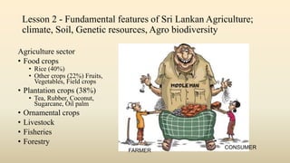 Agriculture sector
• Food crops
• Rice (40%)
• Other crops (22%) Fruits,
Vegetables, Field crops
• Plantation crops (38%)
• Tea, Rubber, Coconut,
Sugarcane, Oil palm
• Ornamental crops
• Livestock
• Fisheries
• Forestry
Lesson 2 - Fundamental features of Sri Lankan Agriculture;
climate, Soil, Genetic resources, Agro biodiversity
FARMER
CONSUMER
 