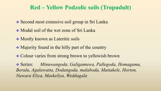 Red – Yellow Podzolic soils (Tropudult)
 Second most extensive soil group in Sri Lanka
 Modal soil of the wet zone of Sri Lanka
 Mostly known as Lateritic soils
 Majority found in the hilly part of the country
 Colour varies from strong brown to yellowish brown
 Series: Minuwangoda, Galigamuwa, Pallegoda, Homagama,
Boralu, Agalawatta, Dodangoda, malaboda, Mattakele, Horton,
Nuwara Eliya, Maskeliya, Weddagala
 