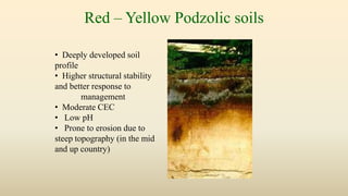 Red – Yellow Podzolic soils
• Deeply developed soil
profile
• Higher structural stability
and better response to
management
• Moderate CEC
• Low pH
• Prone to erosion due to
steep topography (in the mid
and up country)
 