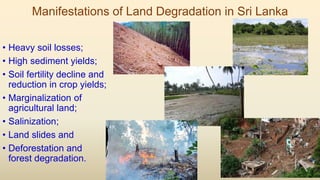 Manifestations of Land Degradation in Sri Lanka
• Heavy soil losses;
• High sediment yields;
• Soil fertility decline and
reduction in crop yields;
• Marginalization of
agricultural land;
• Salinization;
• Land slides and
• Deforestation and
forest degradation.
 