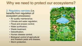Why we need to protect our ecosystems?
2. Regulatory services (i.e.
benefits from regulation of
ecosystem processes):
• Air quality maintenance;
• Climate and water regulation;
• Flood and erosion control;
• Water purification;
• Waste treatment;
• Detoxification;
• Human disease control;
• Biological control of agricultural
and livestock pests and disease;
• Storm protection.
 