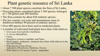 Plant genetic resource of Sri Lanka
• About 7 500 plant species constitute the flora of Sri Lanka.
• Flowering plants constituted about 3 360 species, belonged
to 1 350 genera and 200 families.
• The flora contains by about 830 endemic species.
• The low-country wet zone and mountainous areas in
Southwest harbour 90 percent of endemic species.
• Over 600 species have been used as medicinal plants.
• A number of cultivated food plants have their wild relatives:
• Artocarpus heterophyllus (Jackfruit),
• A. Incisus (Breadfruit),
• Citrus,
• Mangifera zeylanica (etamba), and Yams.
• Black pepper, cardamom, cinnamon have their wild relatives in the
wet zone forests.
• Wild species of rice (Oryza
rufipogon), Rhynchosia, Dunbaria, Viscosa
• Wild relatives of Cajanus Cajan) – pegionpea
 