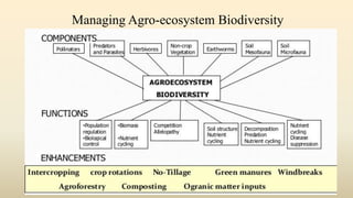Managing Agro-ecosystem Biodiversity
 