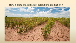 How climate and soil affect agricultural production ?
 