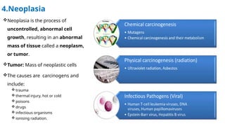 Composition Patho Lesson 2 Pathophysiology of body fluid composition -Basic toxicology ...