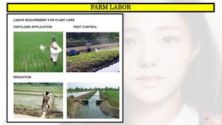 10
FARM LABOR
https://www.facebook.com/jirehmathematics/
 