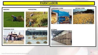 11
FARM LABOR
https://www.facebook.com/jirehmathematics/
 