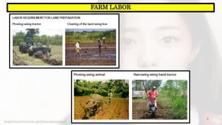 8
FARM LABOR
https://www.facebook.com/jirehmathematics/
 