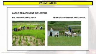 9
FARM LABOR
https://www.facebook.com/jirehmathematics/
 