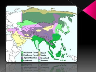 Lesson 2 (physical characteristics)