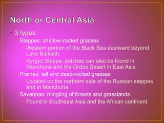 North or Central Asia3 types:Steppes: shallow-rooted grassesWestern portion of the Black Sea eastward beyond Lake Balkash.Kyrgyz Steppe; patches can also be found in Manchuria and the Ordos Desert in East AsiaPrairies: tall and deep-rooted grassesLocated on the northern side of the Russian steppes and in ManchuriaSavannas: mingling of forests and grasslandsFound in Southeast Asia and the African continent
