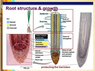 Free Powerpoint Templates
Page 10
 