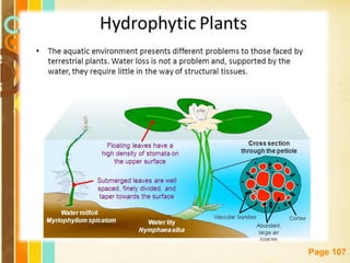 Free Powerpoint Templates
Page 107
 