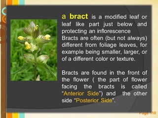 Free Powerpoint Templates
Page 110
 